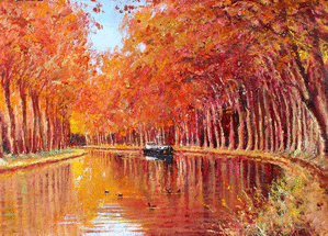 Reflets dorés des arbres en automne